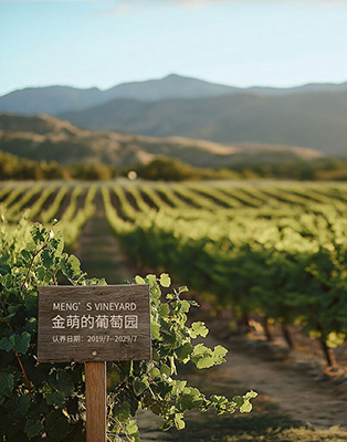 私人庄园主权益