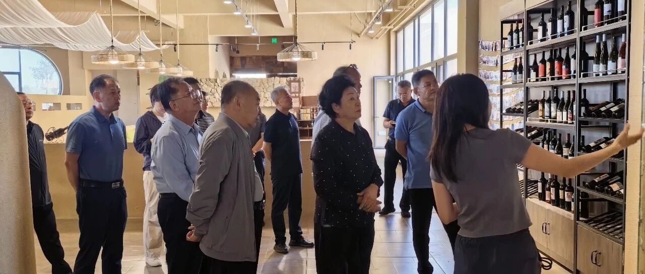 自治区人大副主任马文娟调研西班酒庄 肯定枸杞葡萄酒创新实践